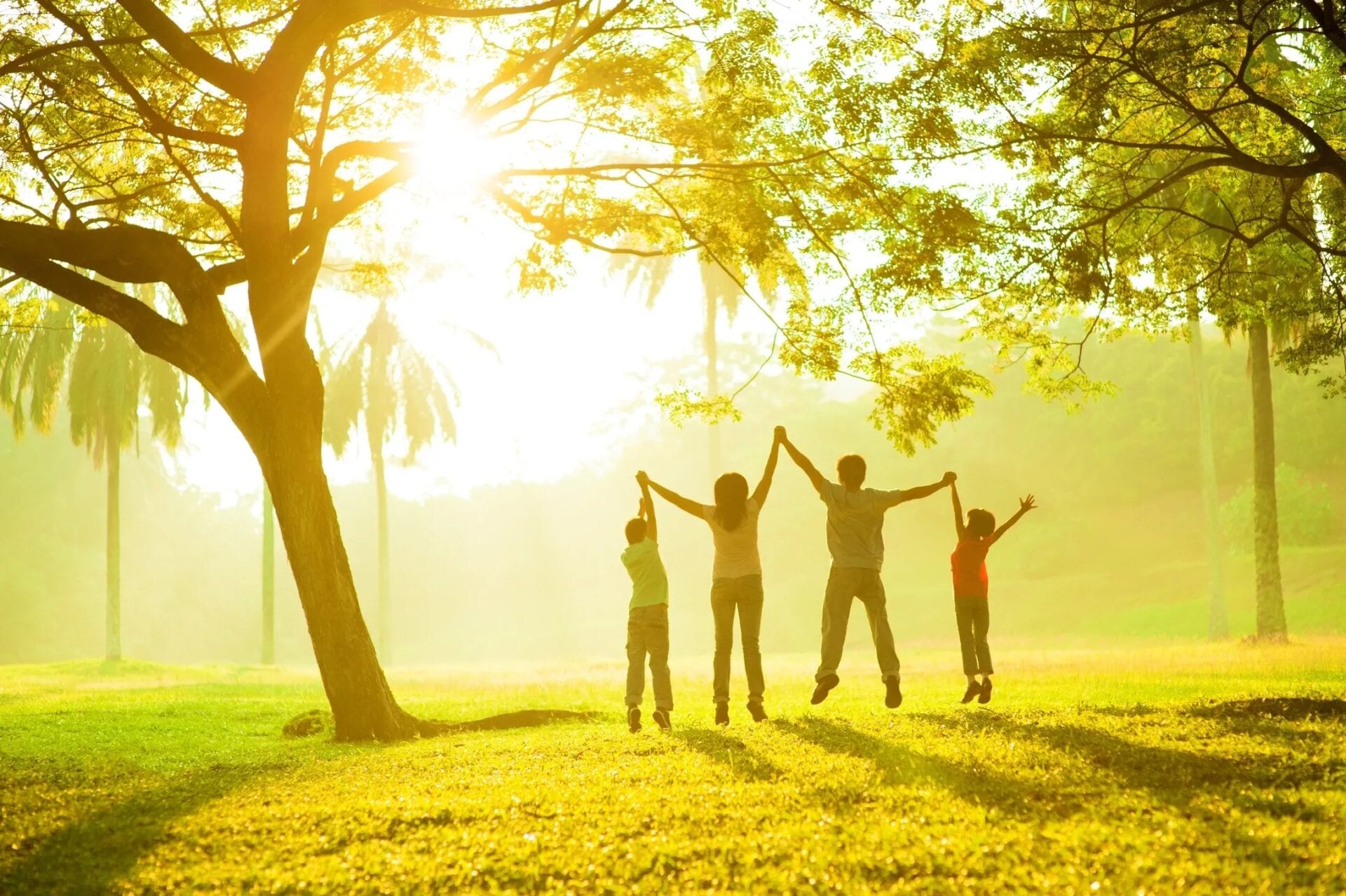 A group of people standing under a tree in the sun.